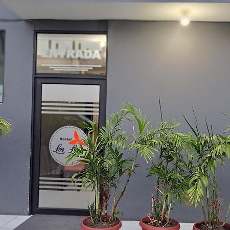 Hostal Los Lirios Loja Kültér fotó